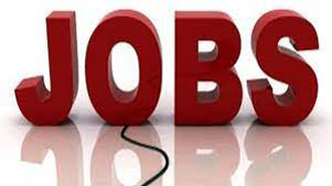 Special placement drive for Divyangjans at NCSC Una on 30th August